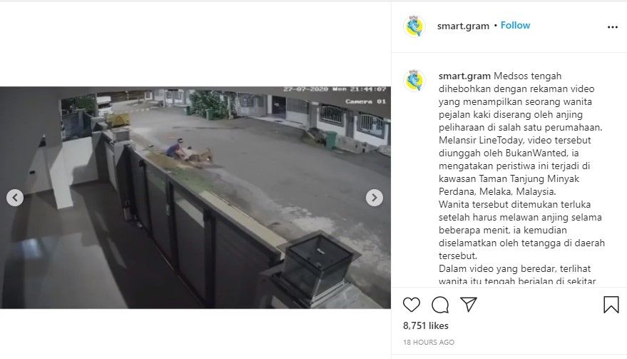 Pejalan kaki diserang anjing hingga luka parah (Instagram/smart.gram)