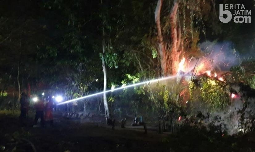 Pohon di Tempat Pemakaman Umum Dusun Morosemo, Desa Sumberagung, Kecamatan Plumpang, Kabupaten Tuban, mendadak terbakar pada malam Takbiran Hari Raya Idul Adha 1441 H, Kamis (30/7). [Beritajatim]