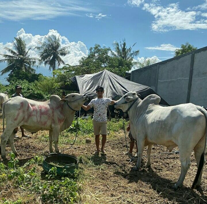 Tangkapan layar akun Instagram gelandang Persija, Sandi Sute (Instagram @sandi.sute21).