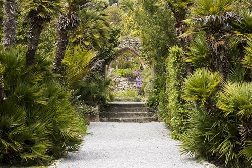 Abbey Gardens di Pulau Tresco. (Shutterstock)