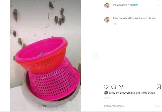 Kasihan tapi Ngakak, Kumpulan Keong Ini Kompak Kabur saat Hendak Dimasak. (Instagram/@leluconttv)