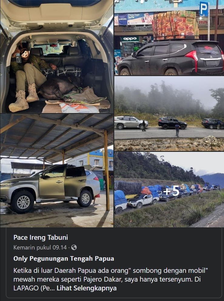 Mitsubishi Pajero dipakai angkut babi. (Facebook/Pace Ireng Tabuni)