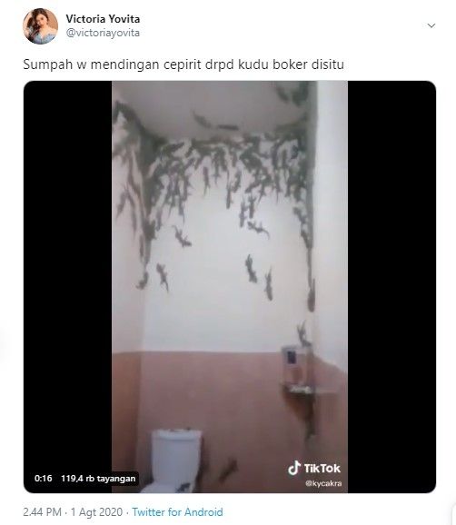 Tokek menumpuk di kamar mandi bikin merinding (Twitter/victoriayovita)