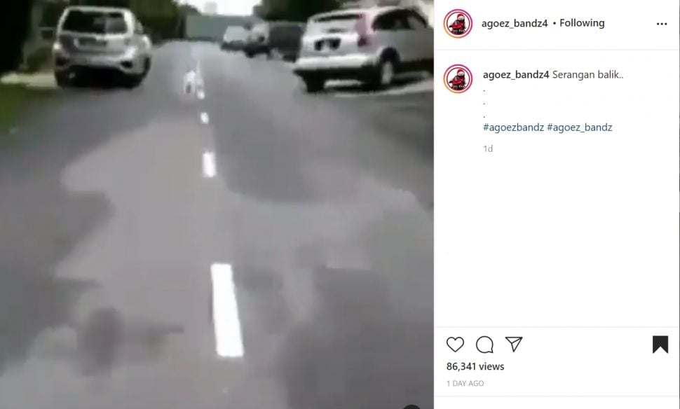 Ulah pemotor saat dikejar anjing bikin ngakak. (Instagram)