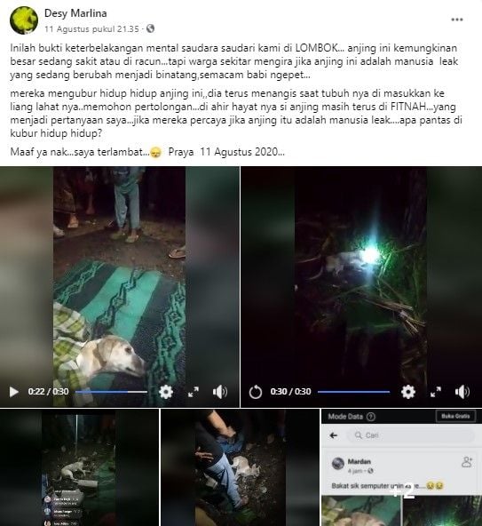 Warga kubur hidup-hidup anjing diduga jelmaan pelajar SMP (FB/desymarlina)