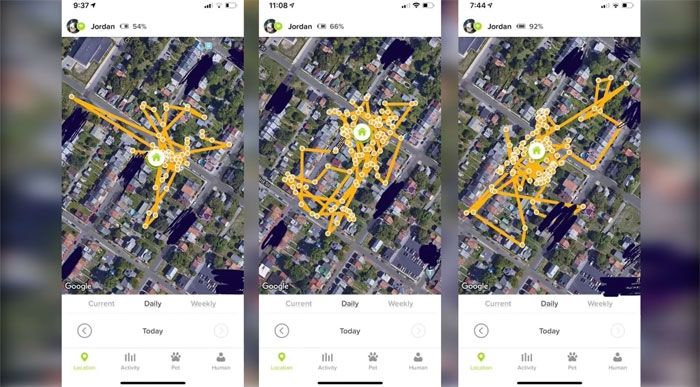 Hasil tracking GPS kucing gemar mencuri sepatu tetangga (boredpanda.com)