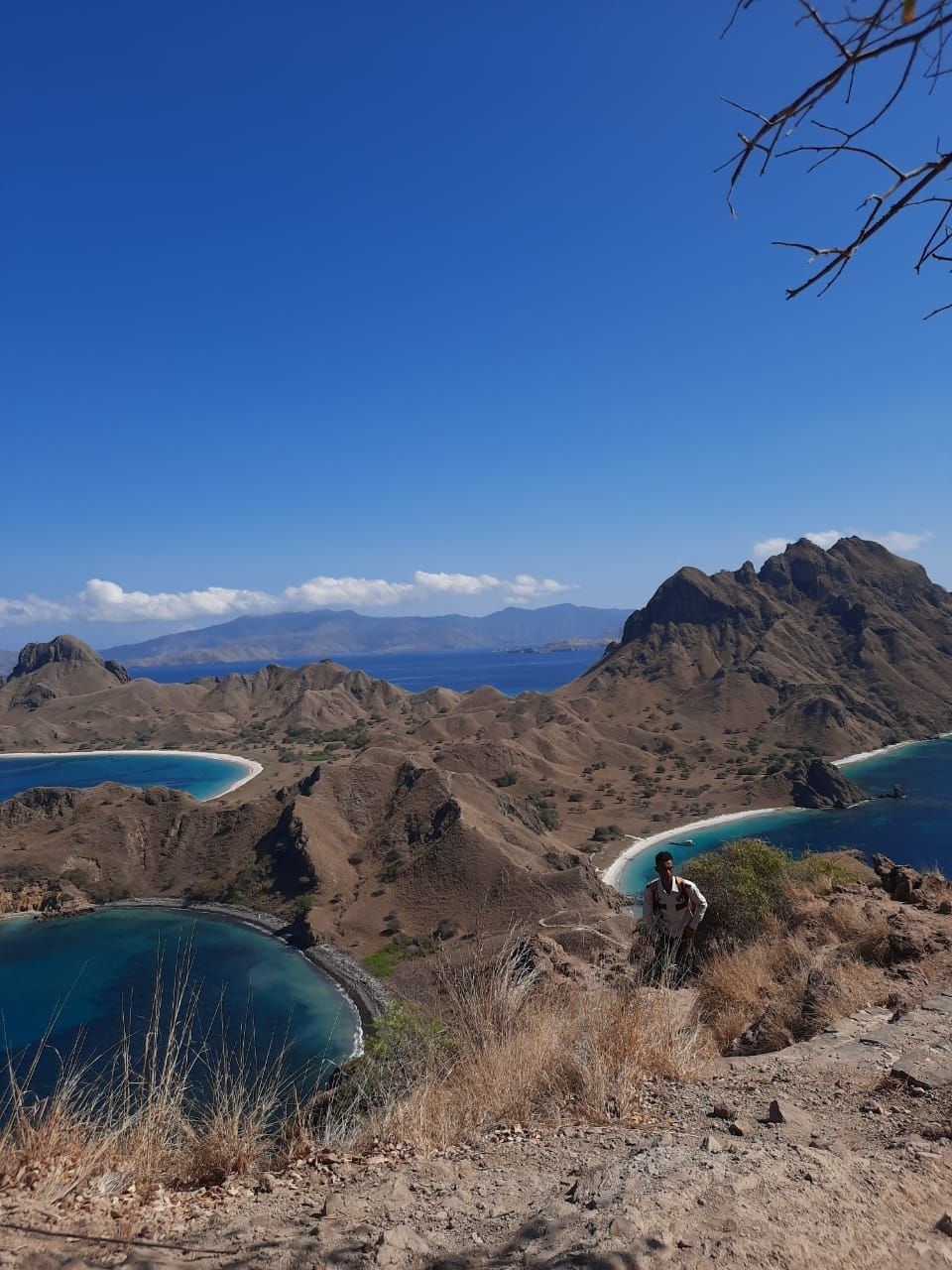 Pulau Padar (Suara.com/Risna Halidi)