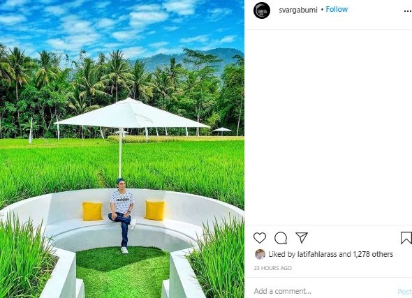 Viral Wisata Persawahan Instagramable di Magelang, Sekilas Bak Pulau Dewata. (Instagram/@svargabumi)