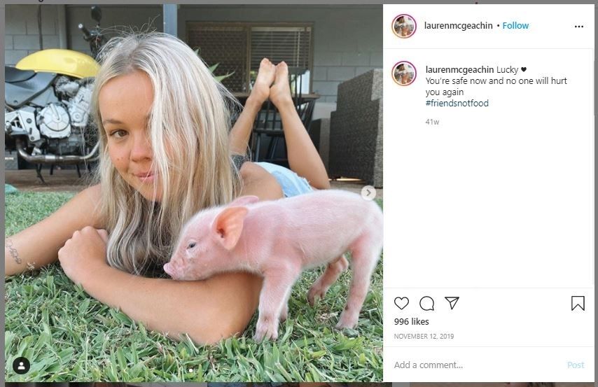 Model Vegan Tertangkap Mencuri Babi dan Ayam (instagram.com/laurenmcgeachin)