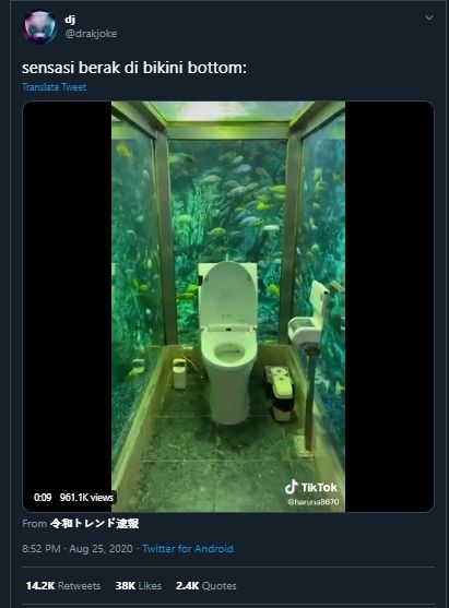  Berasa Buang Air di Bikini Bottom, Mewahnya Toilet Kafe Ini Ada Akuariumnya. (Twitter/@drakjoke)