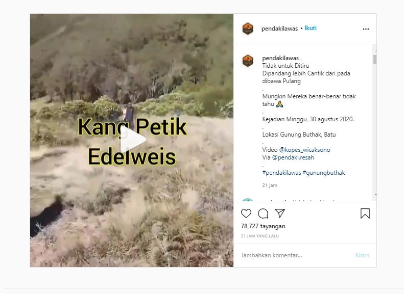 Sekelompok Pendaki Petik Edelweis. (Instagram @pendakilawas)