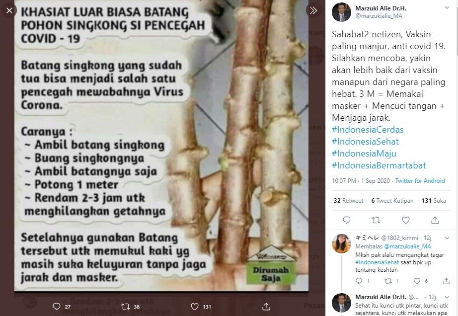 batang singkong pencegah covid-19 (Twitter/marzukialie_ma)