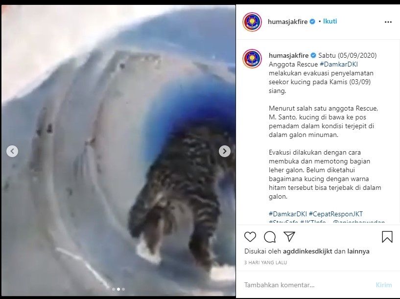 Kucing terjebak di galon. (Dok: Instagram/humasjakfire)