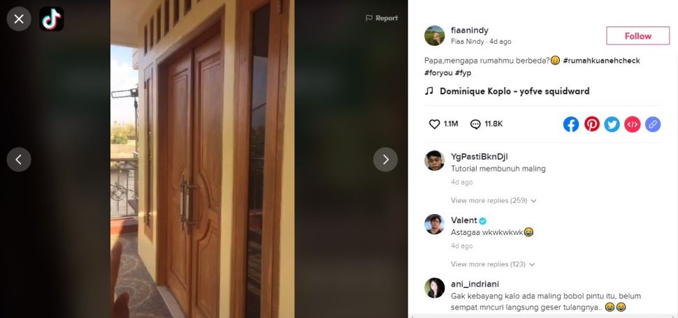 Pintu untuk prank maling (TikTok/fiaanindy)