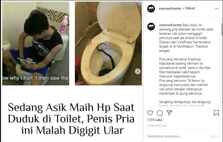 Penis Remaja Digigit Ular (Instagram/@memoefriantto).