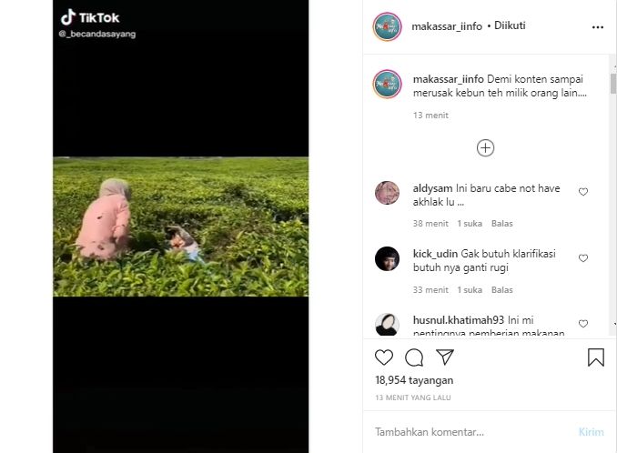 Tangkapan Layar Video Bikin Konten Hingga Rusak Kebun Teh Orang (Instagram/@makassar_iinfo).