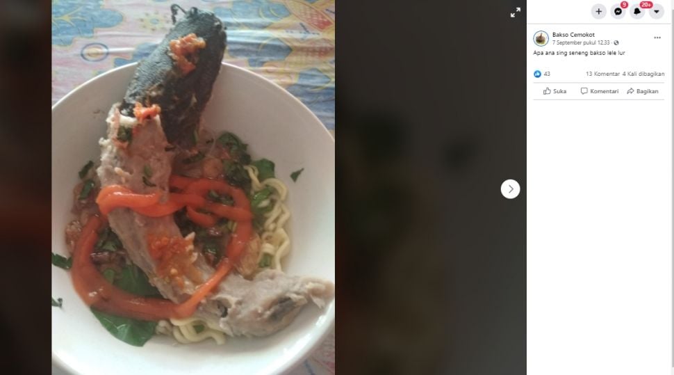 Saingi Lobster, Kini Muncul Tren Bakso Lele Berbentuk Unik. (Facebook/Bakso Cemokot)