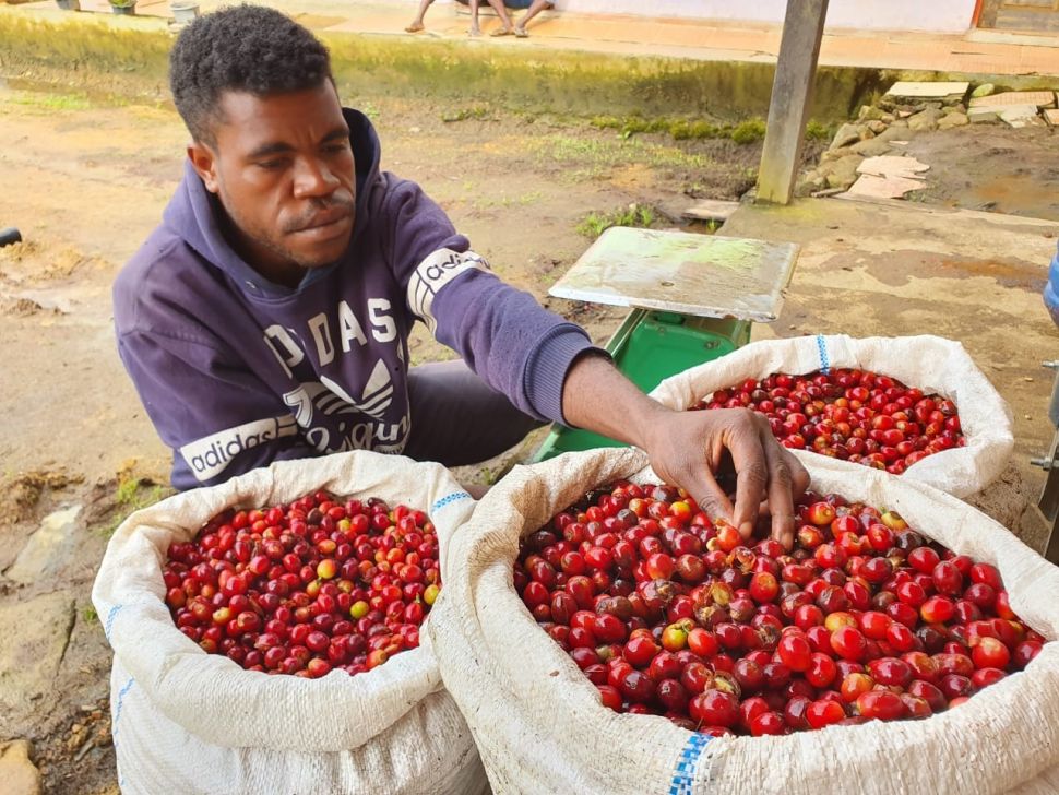 Petani Kopi Dogiyai. (Belift Dogiyai Project)