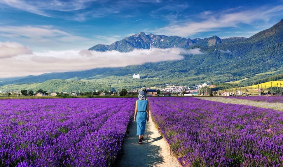 Furano, Jepang. (Shutterstock)