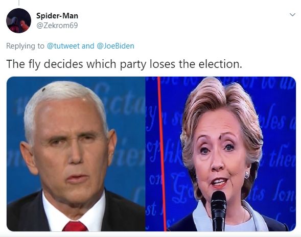 Lalat Bikin Geger Debat Wakil Wapres AS Kamala Harris dan Mike Pence. (Twitter/Zekrom69)