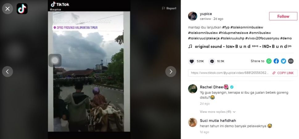 Emak-emak bawa bebek terobos massa aksi demo (TikTok/yupica)