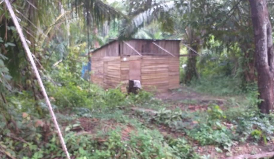 Rumah Dina, ibu rumah tangga di Desa Alue Gadeng, Kecamatan Birem Bayeun, Kabupaten Aceh Timur, menjadi korban pemerkosaan. [Modusaceh]