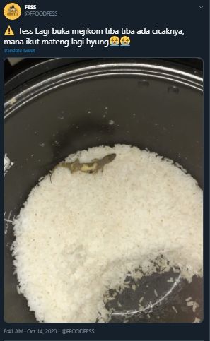 Cicak matang di dalam rice cooker. (Twitter/@FFOODFESS)