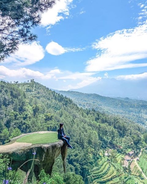 Goa Pinus (Dok: Instagram/@risnandadevamn)