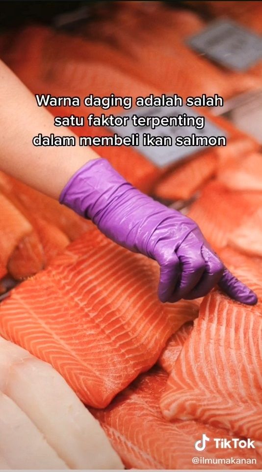 Ikan Salmon Ditambahkan Pewarna? (TikTok/@ilmumakanan)