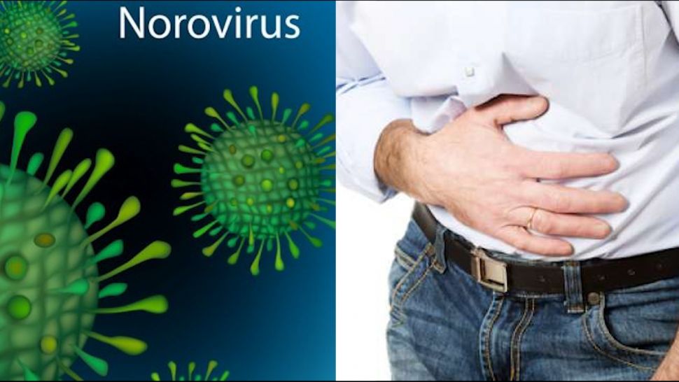 Ilustrasi norovirus (Kolase foto/Shutterstock)