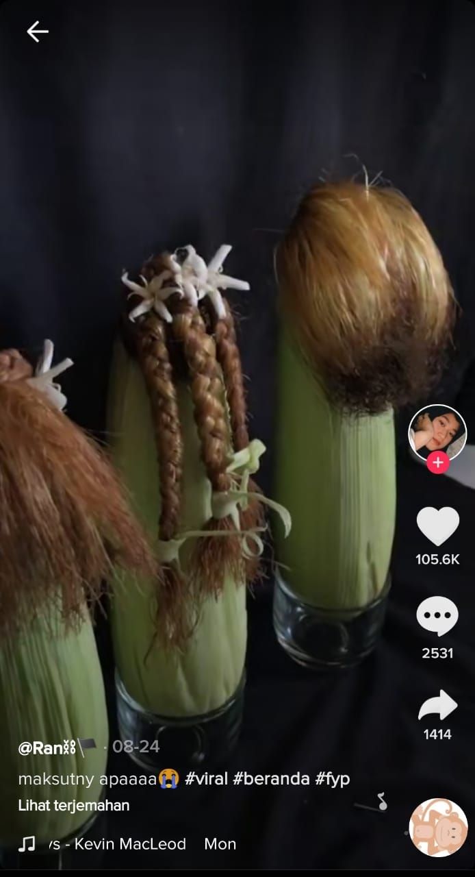 Rambut jagung yang dikepang (TikTok @rania.slb)