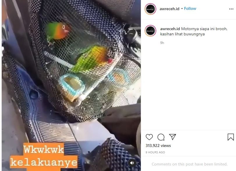 Yamaha Mio M3 disulap jadi kandang burung. (Instagram)