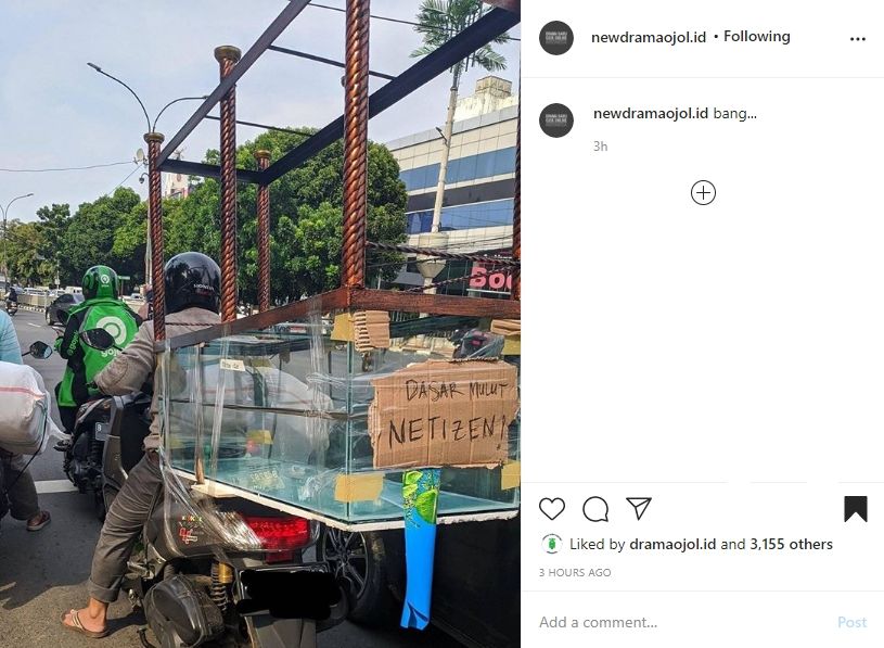 Penjual aquarium lagi-lagi menjadi viral. (Instagram(