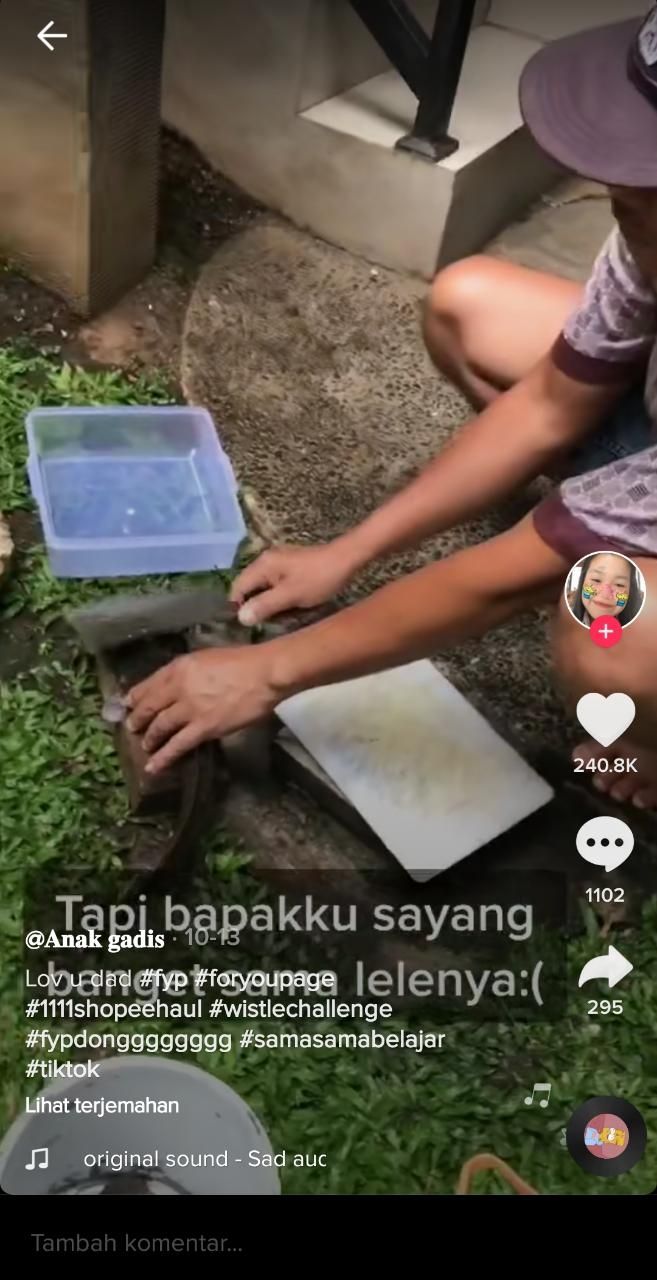 Ayah ini tak tega memotong lele (TikTok @nalitass)