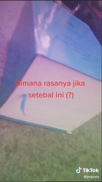 Viral Skripsi Setebal 2.000 Halaman (TikTok/jnrprsty).