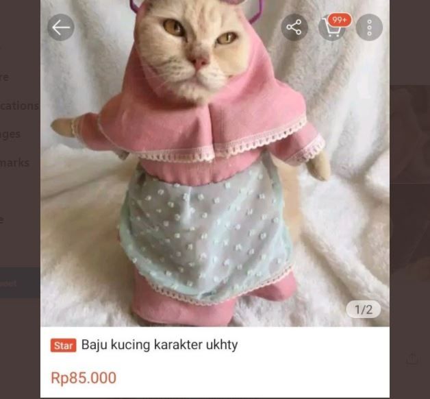 Viral Baju Syar’i Khusus Kucing, Warganet: Biar Nggak Hamil di Luar