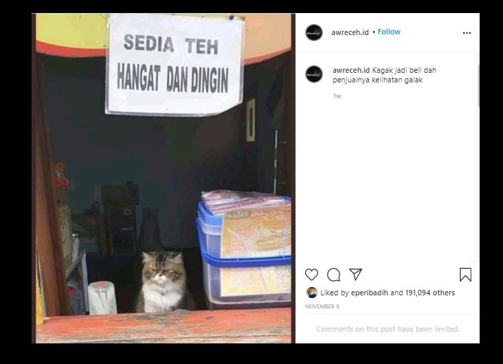 Yang Jaga Berbulu dan Berwajah Galak, Gerai Minuman Ini Warganet Salfok. (Instagram/@awreceh.id)