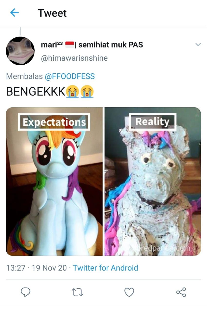 Unicorn yang bentuknya tak sesuai ekspektasi (Twitter @himawarisnshine)