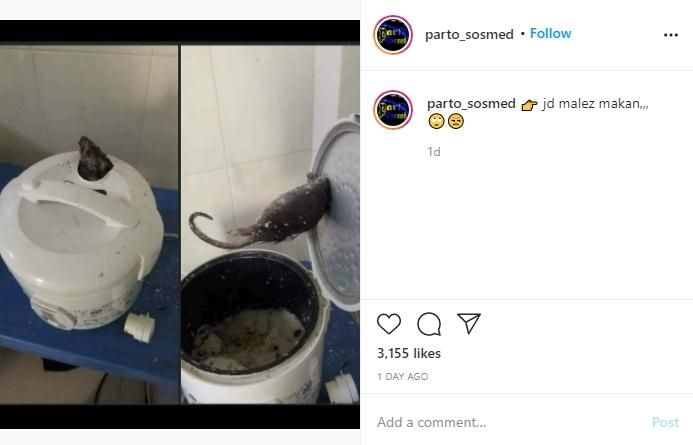 Nyangkut di Lubang Rice Cooker, Wujud Makhluk Hitam Ini Bikin Syok Berat. (Instagram/@parto_sosmed)