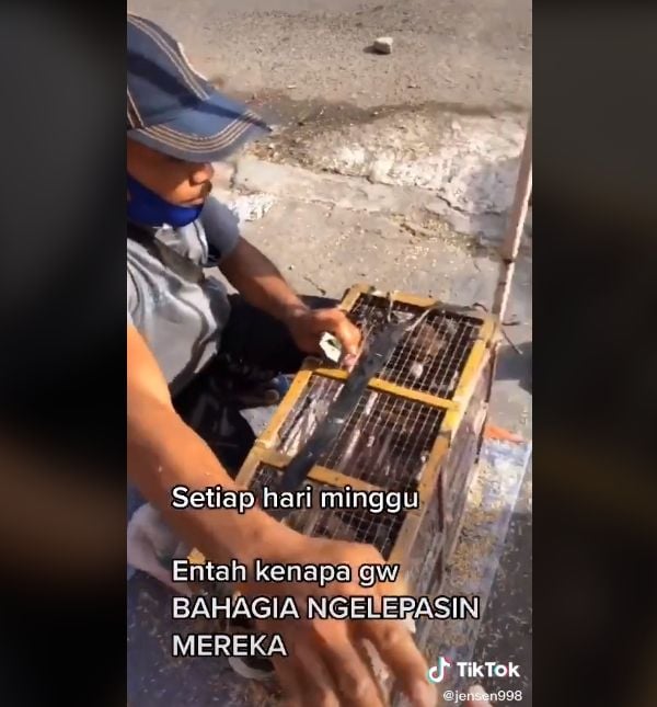 Video beli burung untuk dilepas. (TikTok/Jensen998)