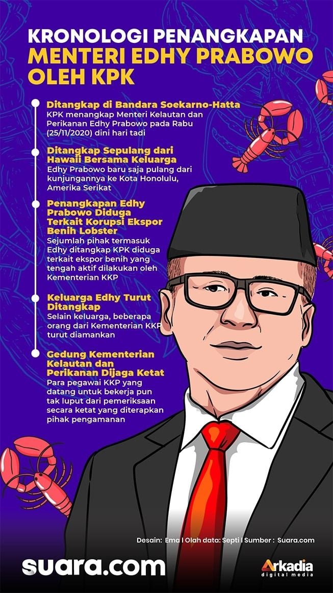 Kronologi Menteri Edhy Prabowo ditangkap KPK. (Suara.com/Ema Rohimah)