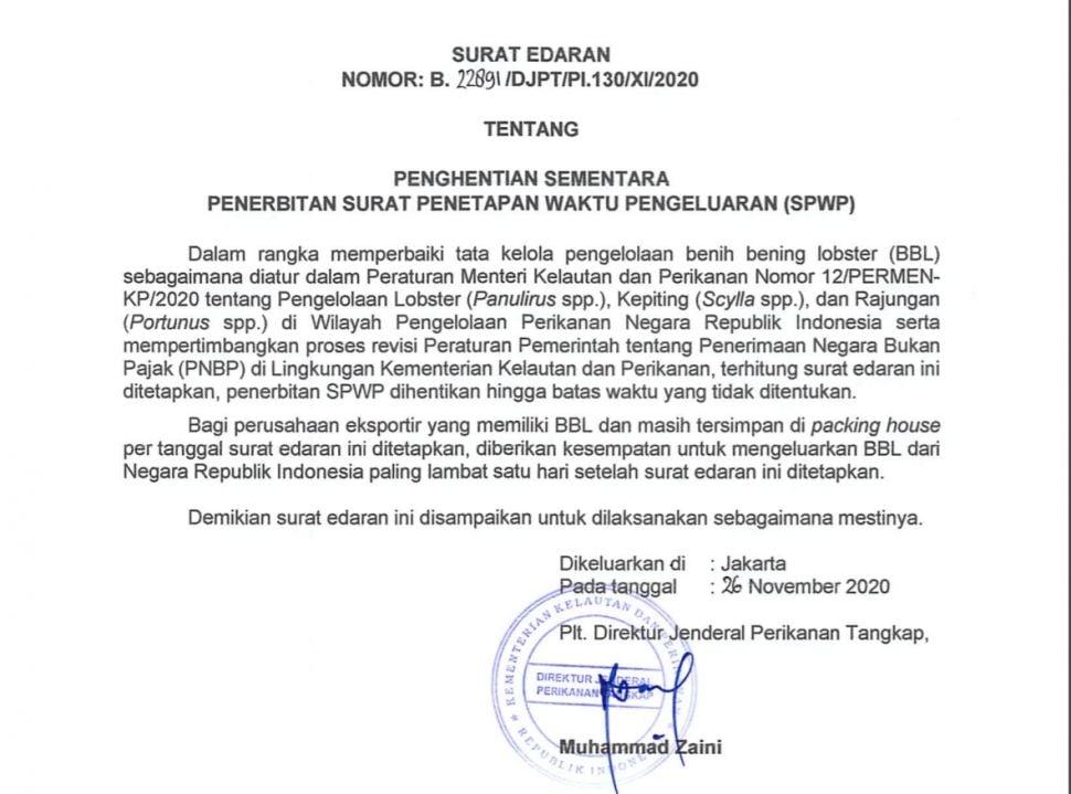 Surat resmi Kementerian Kelautan dan Perikanan (KKP) memutuskan untuk menghentikan sementara ekspor benih lobster atau benur. [dokumentasi]