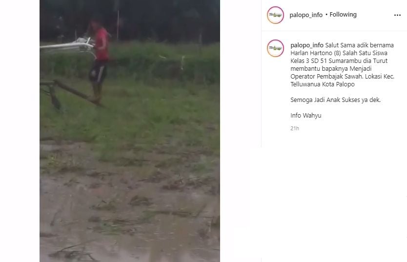 Viral bocah di Palopo tunggangi traktor gantikan ayah. (Instagram/palopo_info)