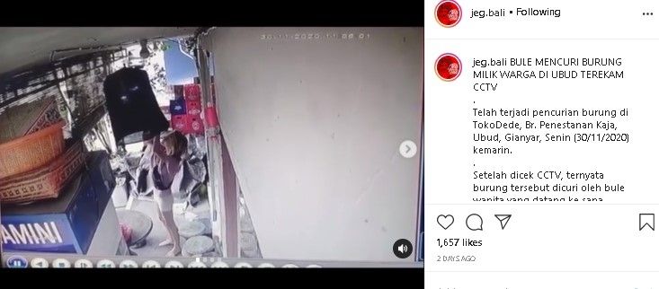 Cewek bule terekam CCTV curi burung berkicau. (Instagram/@jeg.bali)