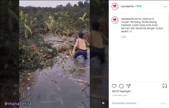 Viral Video Buaya Jadi Bahan Mainan Bocah-bocah (Instagram/Manaberita).