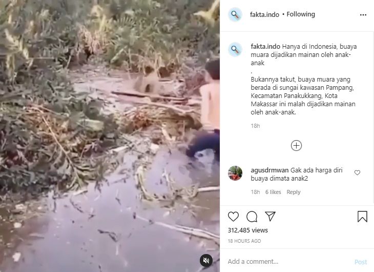 Video anak-anak main sama buaya di sungai. (Instagram/fakta.indo)