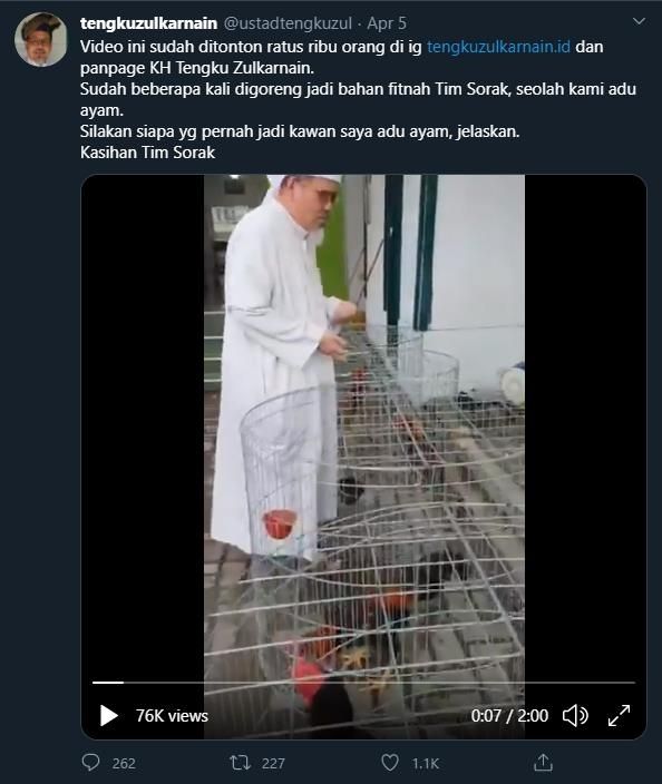 Fakta Tengku Zul jadi tukang adu ayam (Turnbackhoax.id)