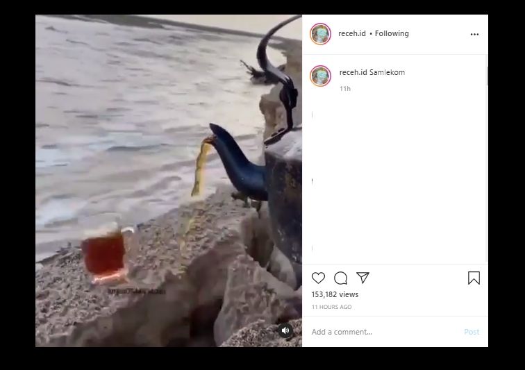 Viral! Minum Teh di Pinggir Sungai, Ending Video Ini Berakhir Ngenes. (Instagram/@receh.id)