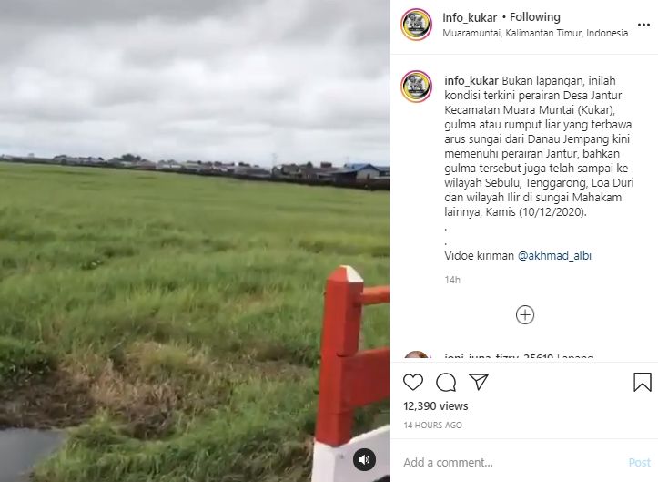 Video penampakan kondisi perairan Jantur tertutup gulma. (Instagram/info_kukar)