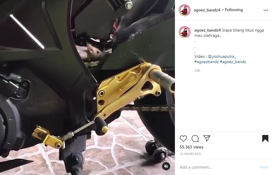 Viral tikus jogging di atas rantai motor. (Instagram)